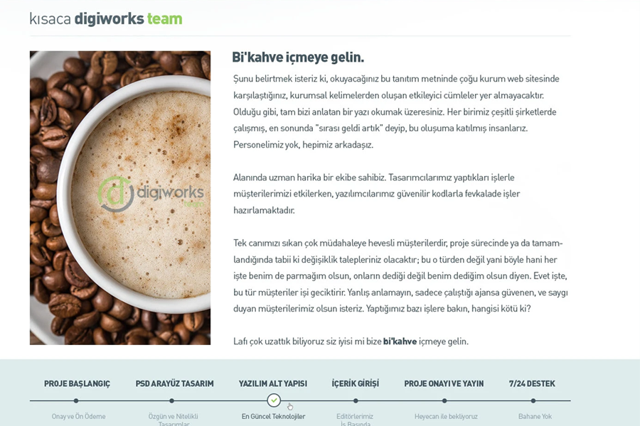 Digiworksteam Kurumsal Web Sitesi